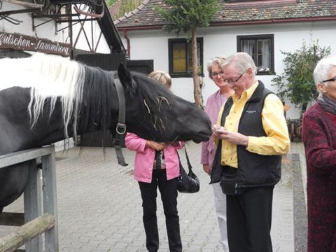 Mit dem Dampf-Ross durch das Wutachtal