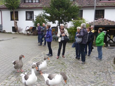 Mit dem Dampf-Ross durch das Wutachtal