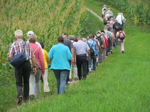 Perlensuche an der Goldküste