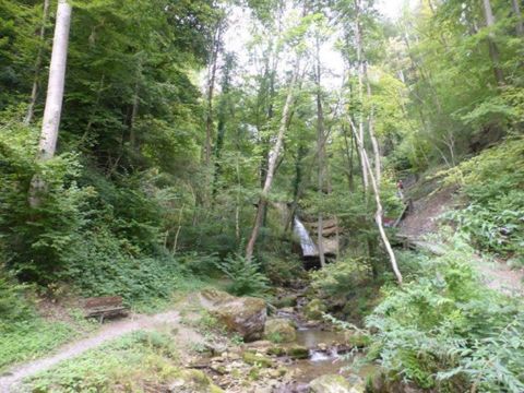 Perlensuche an der Goldküste