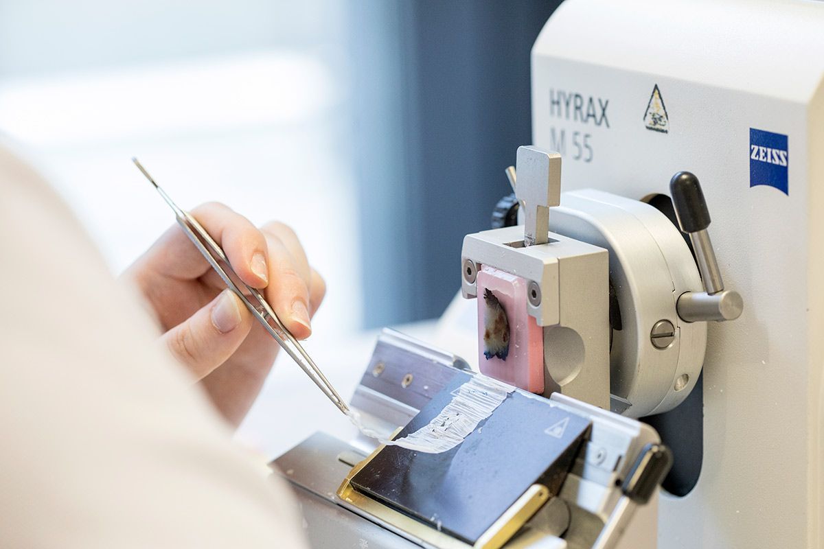 KSW Pathologie