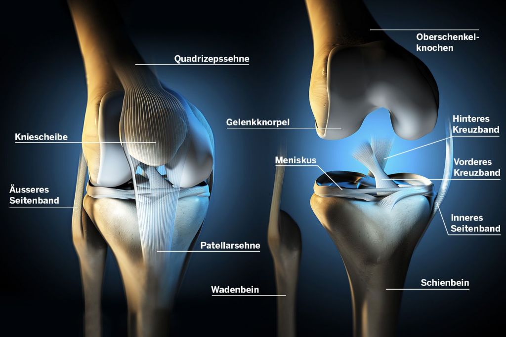 Knie / Kniegelenk Erkrankungen und Verletzungen KSW