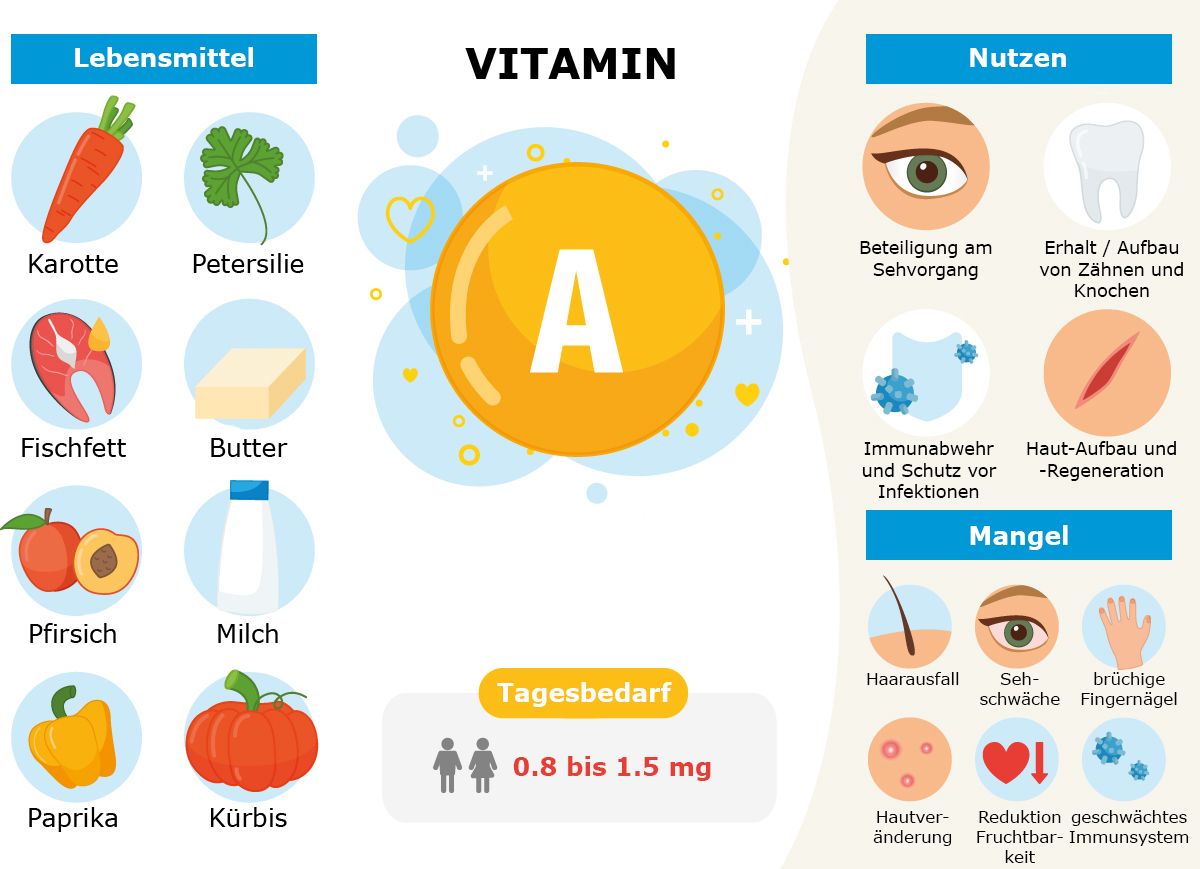 Infografik Vitamin A Retinol