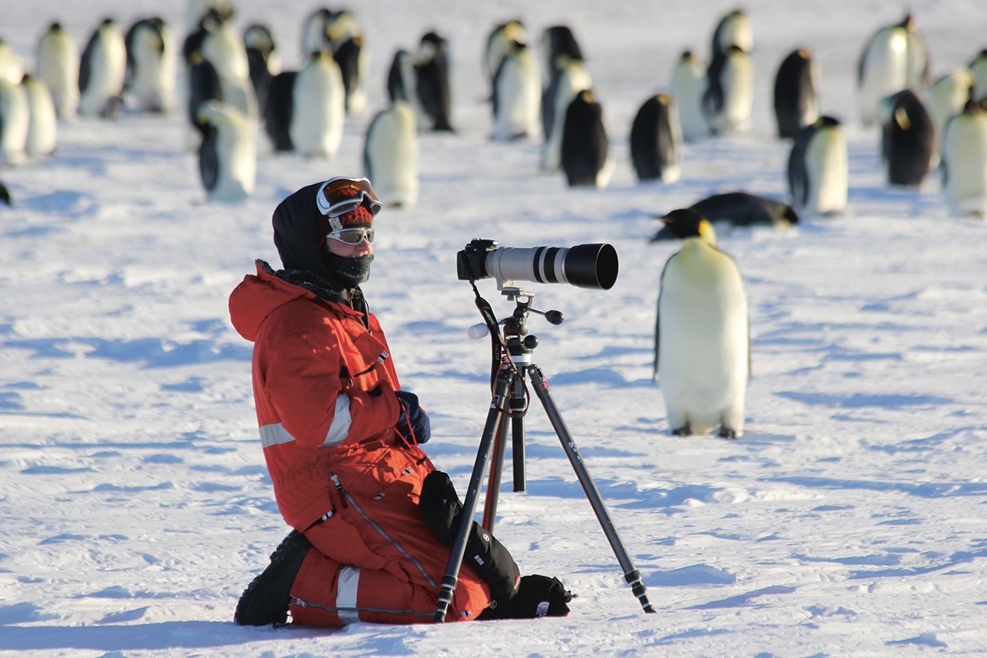 Ueberleben In Der Antarktis Ksw Storys 03